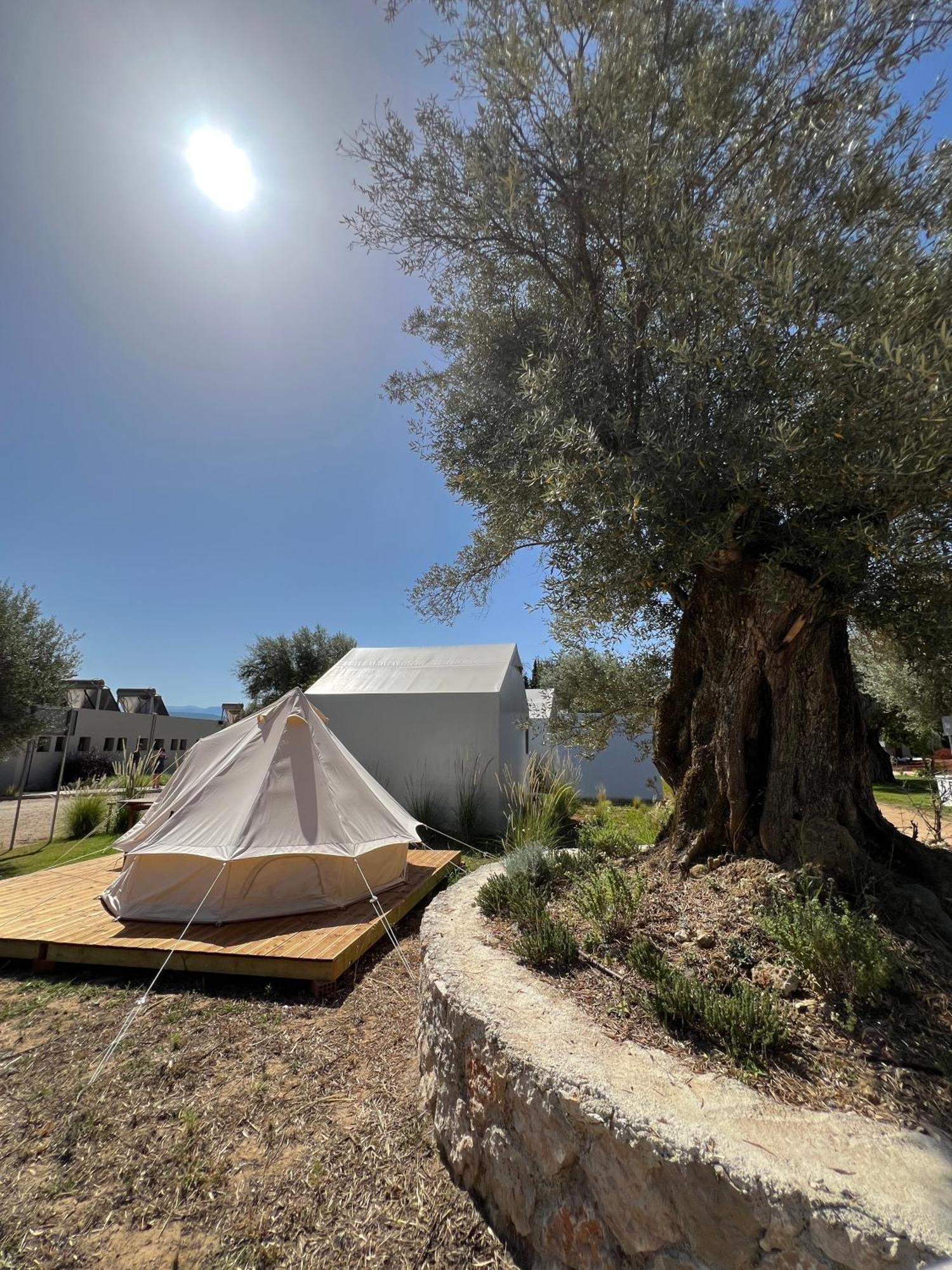 Nirikos Camping Spasmeni Vrisi Kültér fotó
